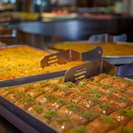 Haydarpasha Palace 호텔 아브살라르